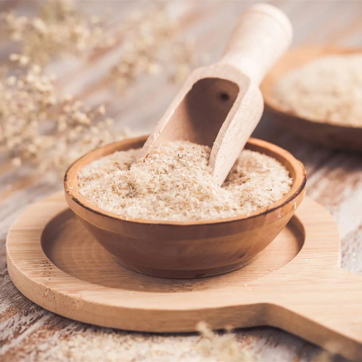 PSYLLIUM EN POLVO FRACCIONADO x 50 GR