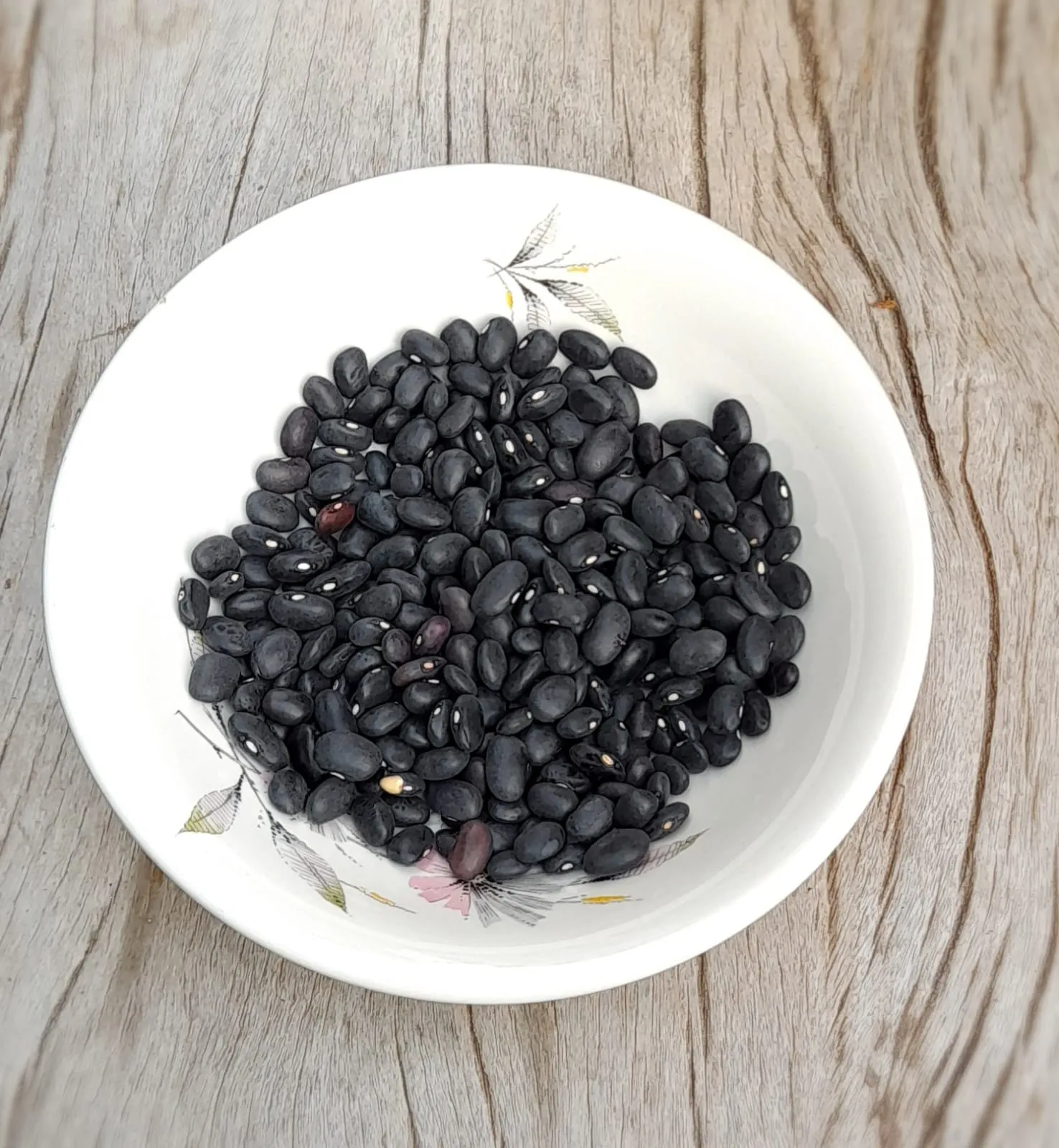 POROTOS NEGROS 250 G AGROECO FRACCIONADO