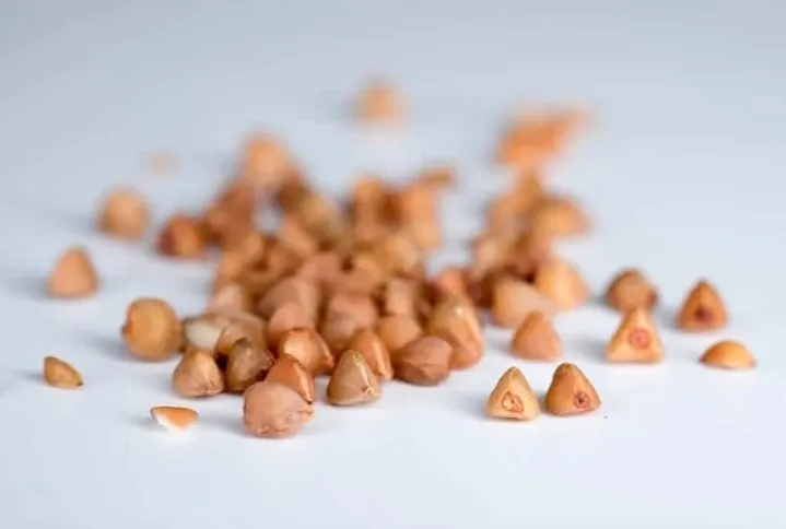 TRIGO SARRACENO SEMILLA 500 g AGROECO FRACCIONADO