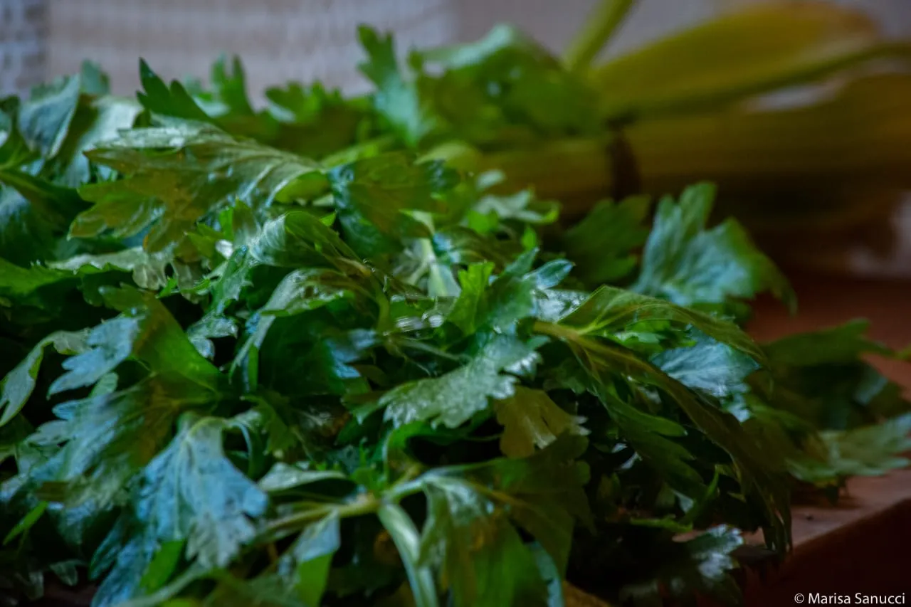 APIO (MEDIO PAQUETE) AGROECO