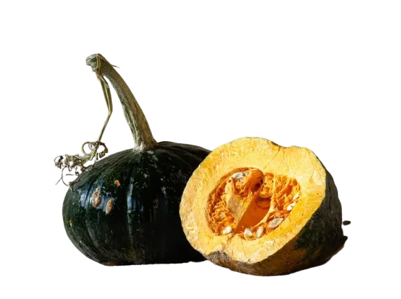 ZAPALLO CABUTIA x MITAD 1 KG aprox ORGANICO (LUEGO SE AJUSTA EL VALOR) A CONFIRMAR
