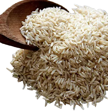 ARROZ INTEGRAL LARGO FINO 500 g ORGANICO FRACCIONADO PAMPAS ORGANIC