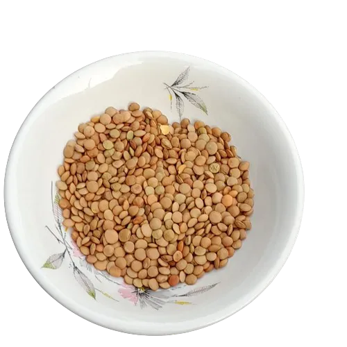 LENTEJAS 1 kg AGROECO FRACCIONADO