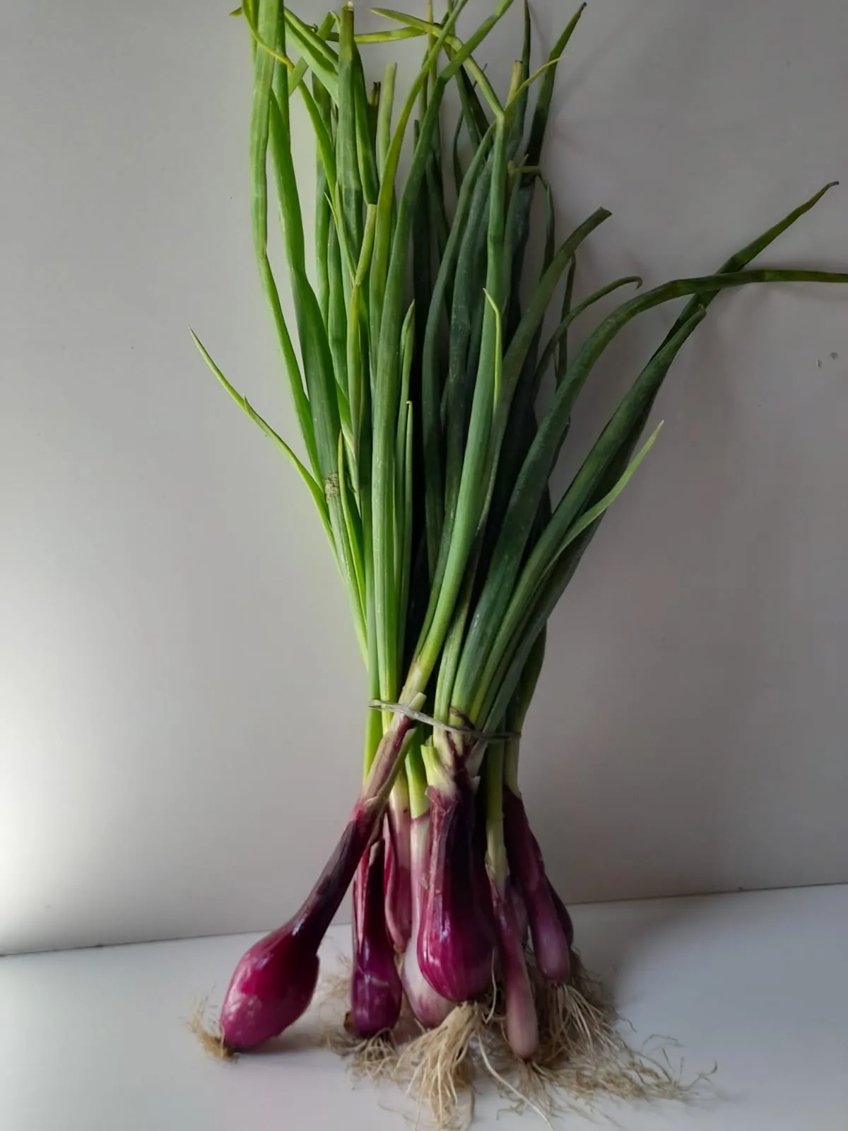 VERDEO AGROECO X 2 ATADOS