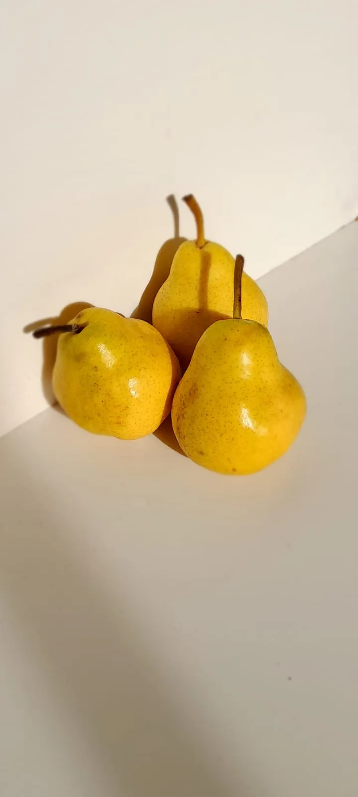 PERAS ORGÁNICAS 2 KG PROMO (pueden estar sin madurar)