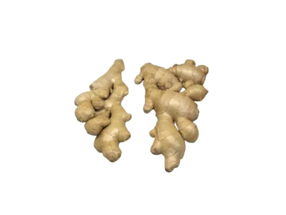 JENGIBRE X 100 G - RAIZ AGROECO MISIONES