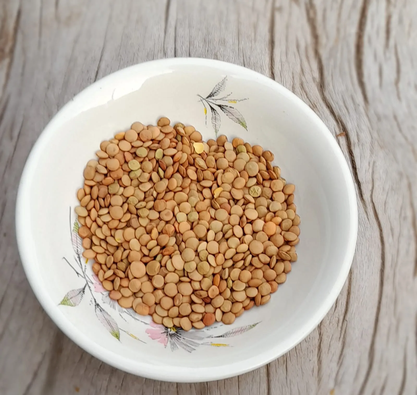 LENTEJAS 250 g AGROECO FRACCIONADO