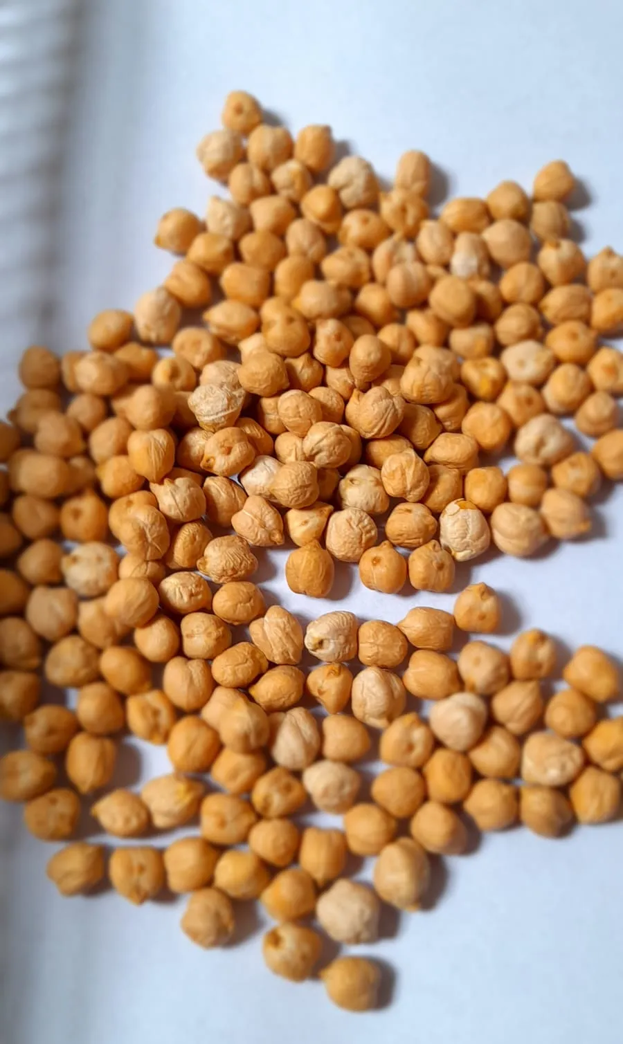 GARBANZOS 250 g ORGANICO FRACCIONADO SALVE LA TIERRA